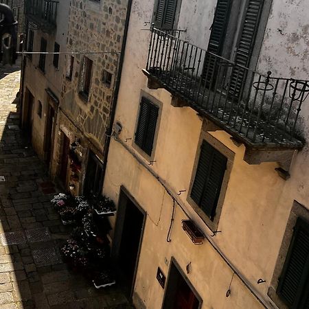 Alma Bnb Santa Fiora Exterior photo